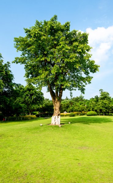 Περιβαλλοντικές Μελέτες